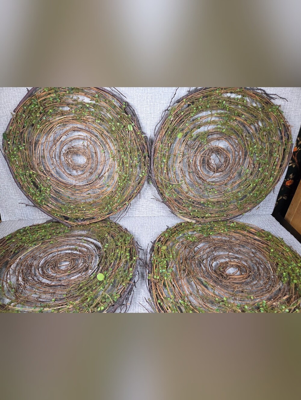 Pier 1 Rustic Twig Moss Round Placemats Wall Decor Charger Plates SET of 4